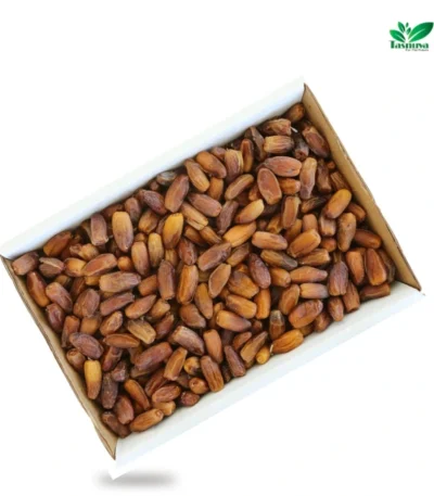 Daglet Nour Dates- Algeria Wholesale Shop