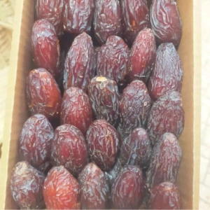 Medjool Dates Price in Bangladesh Retail Wholesale Product BD -TasnuvaDates