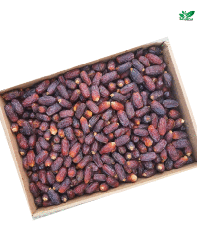 High-quality Maryam Dates available in bulk at TasnuvaDates wholesale market in Dhaka Dhaka Wholesale Market