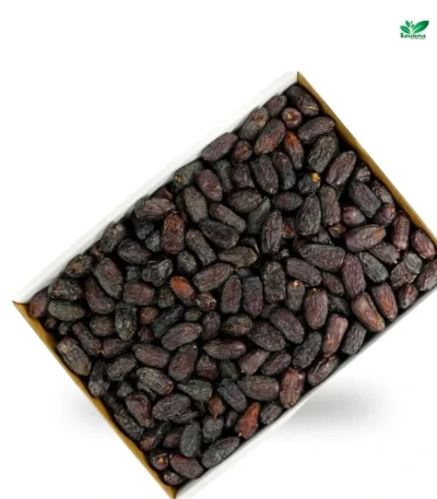 Premium Safawi Dates imported from Saudi Arabia available for wholesale BD at TasnuvaDates