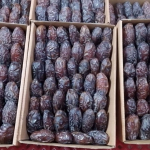 Medjool Dates Price in Bangladesh - Retail Wholesale Product BD Tasnuva Dates